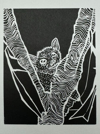 Bat