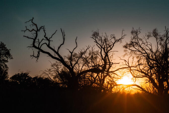 Deep In The Heart of Texas 3